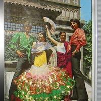 Flamenco-Stoffstickerei (geschickt 1987)